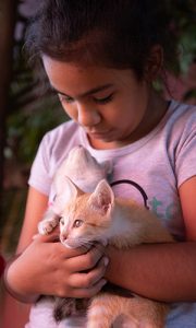en boliviansk flicka håller två beiga katter i famnen.