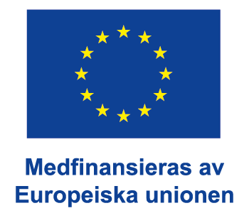 EU flagga och text Medfinansieras av Europeiska unionen.