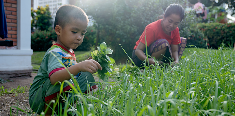Liten pojke sitter på huk och plockar gräs eller sallat. Mamma i röd tröja i bakgrunden.