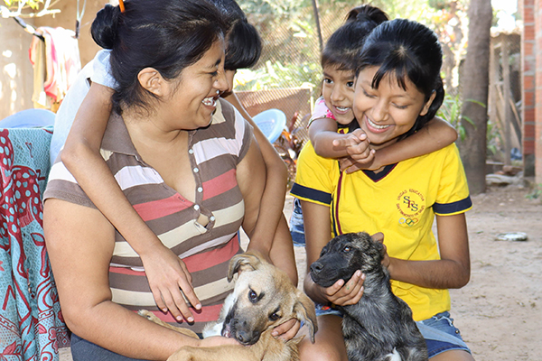 En kvinna tittar på en flicka i gul tröja och två hundar framför