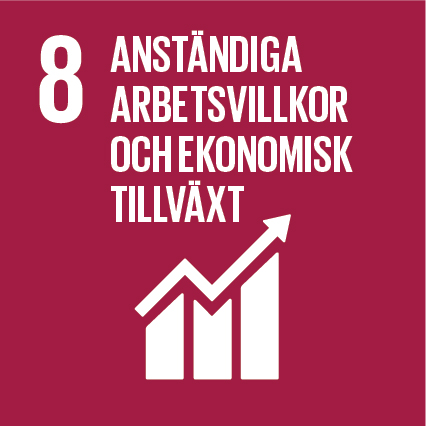 Globalt mål 8, anständiga arbetsvillkor och ekonomisk tillväxt.
