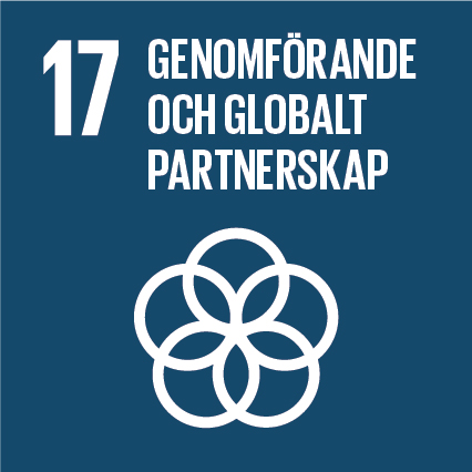Globalt mål 17, genomförande och globalt partnerskap.